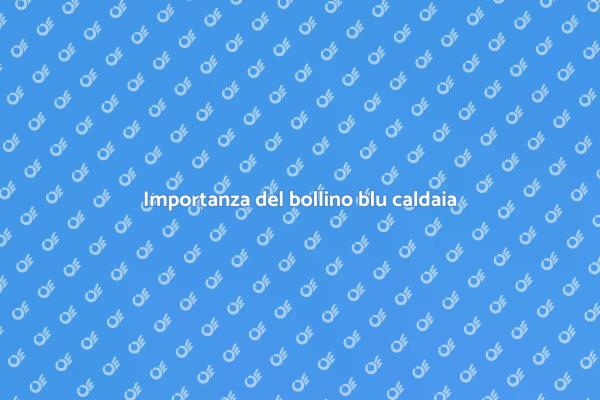 Guida al bollino blu caldaia