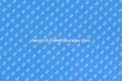 Toelettatura Cani: Igiene e Cura