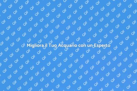 Consulente per l'Acquario: Guida Essenziale