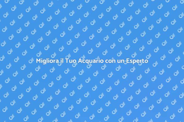 L'importanza di un Consulente per l'Acquario