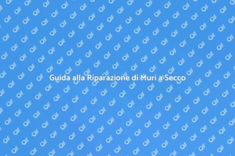 Riparare Fori nel Muro a Secco