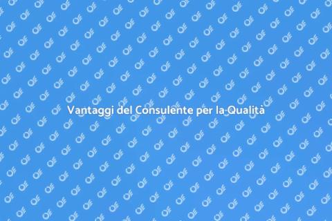 Consulente Aziendale per la Qualità