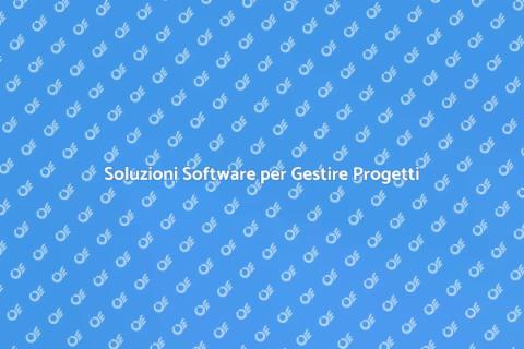 Software Efficace per Gestione Sviluppi
