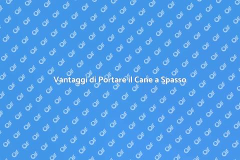 Portare a Spasso un Cane: Vantaggi