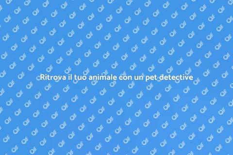 Assistenza professionale di pet detective