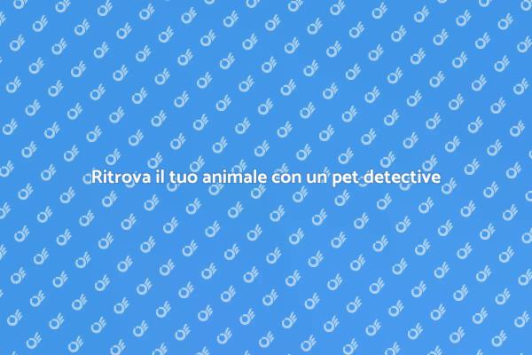 L'importanza del pet detective per animali