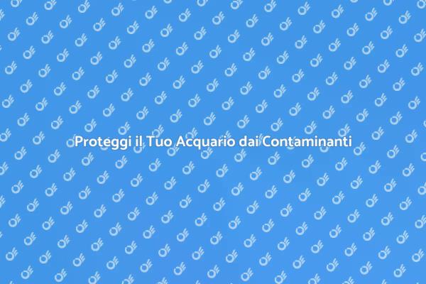 Come Mantenere Sano il Tuo Acquario