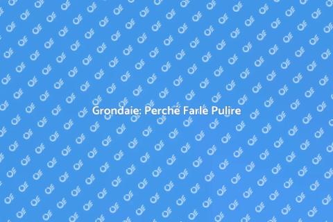 Pulizia Grondaie: Importanza e Vantaggi
