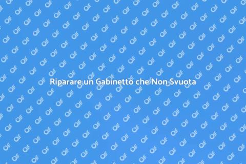 Aggiustare un Gabinetto che Non Svuota