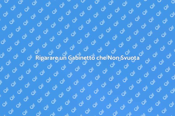 Soluzioni per Gabinetti che Non Svuotano