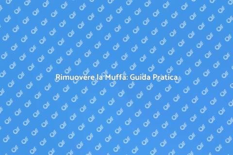 Bonifica della Muffa: Come Risolvere