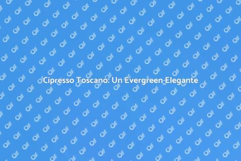 Siepe di Cipresso Toscano: Bellezza