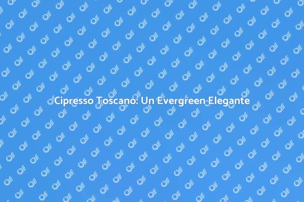 La Magia della Siepe di Cipresso