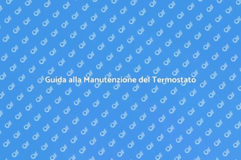 Manutenzione Termostato con Sonda