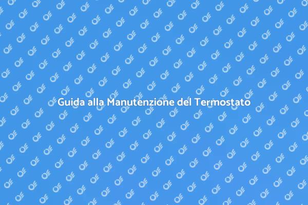 Ottimizza il Tuo Termostato con Sonda