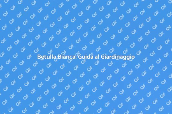 Siepe di Betulla Bianca: Guida Pratica