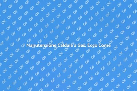 Revisione Caldaia a Gas: Guida Completa