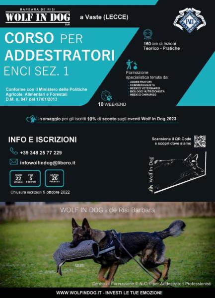 Wolf In Dog di Barbara de Risi - Foto 19