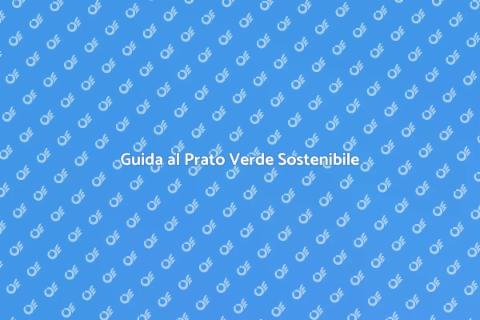 Prato Ecologico Tutto l'Anno