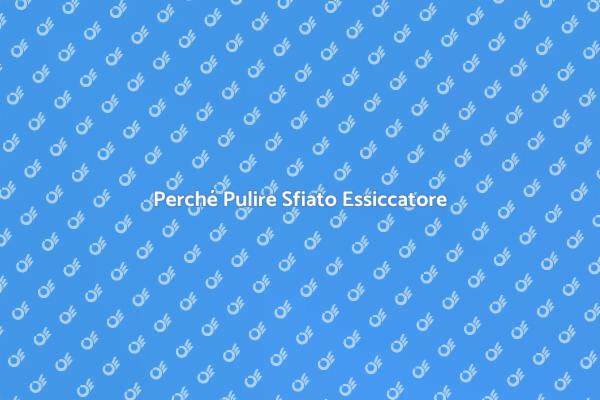Pulizia Essiccatore: Sicurezza Prima di Tutto