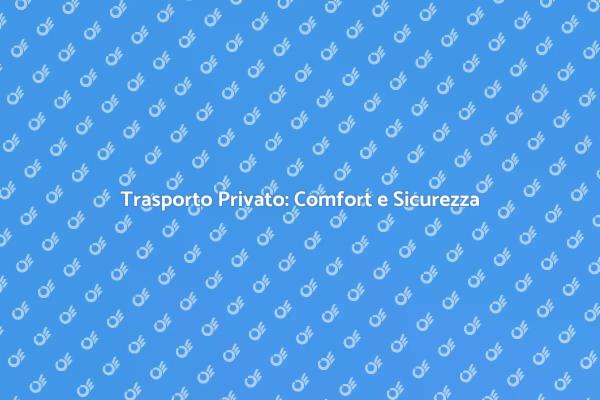 Autista Privato: Comfort e Sicurezza