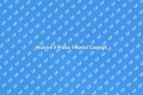 Fertilizzare il Prato: Guida Essenziale
