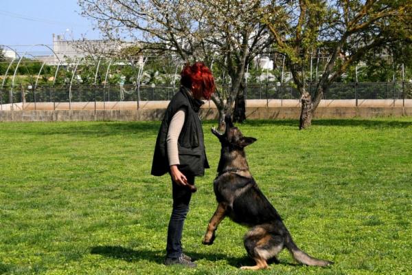 Wolf In Dog di Barbara de Risi - Foto 9
