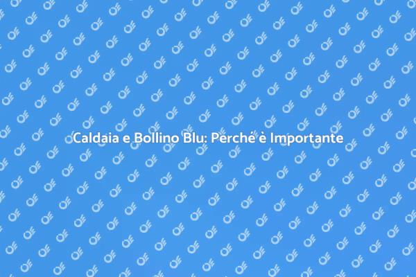 Sicurezza e Prestazioni del Bollino Blu