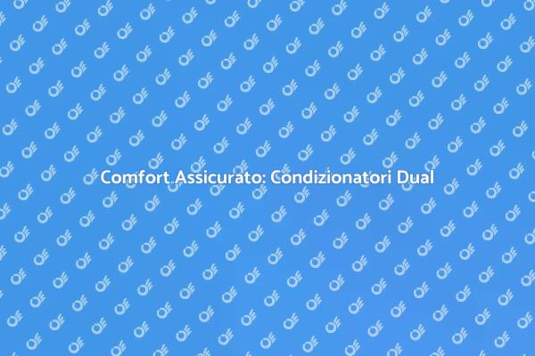 Manutenzione Condizionatori Dual Split