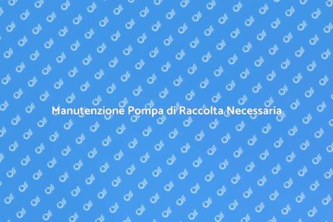 Assistenza Pompa di Raccolta Essenziale