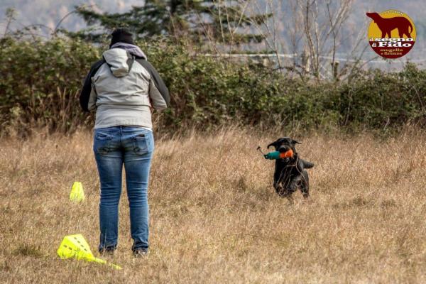 Il Segno di Fido - asd cinofila Mugello e Firenze - Foto 9