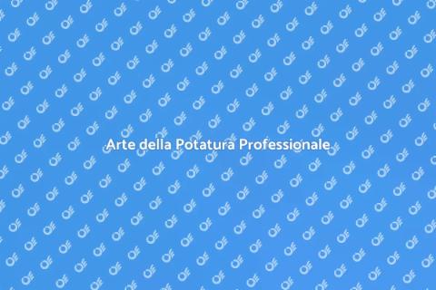 Potatura Professionale per il Tuo Giardino