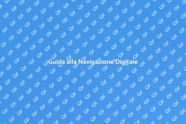 Navigare nel Mare dell'Informazione