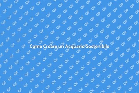 Acquario Sostenibile: Guida Pratica