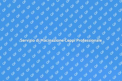 Macinazione Ceppi per il Tuo Giardino
