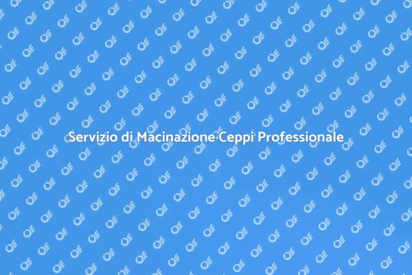 Macinazione Ceppi: Mantieni il Tuo Giardino