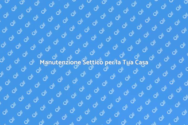 Servizio Settico: Essenziale per il Comfort