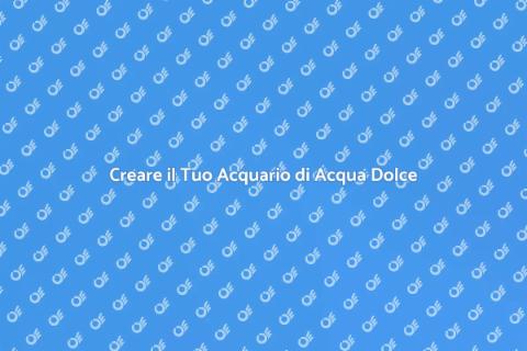 Consulenza per Acquario di Acqua Dolce
