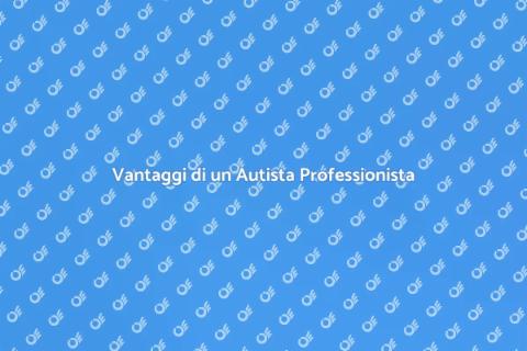 Autista Professionista: Il Tuo Alleato