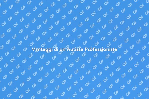 Scopri i Vantaggi di Avere un Autista