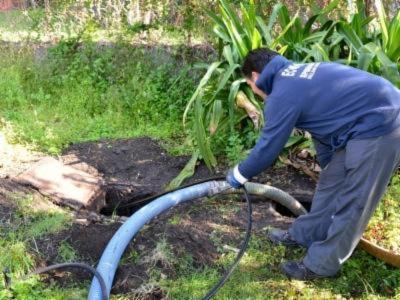 Ecospurgo  - Foto 3