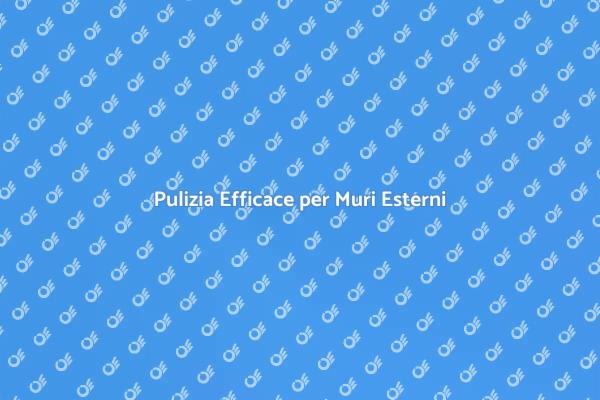 Il Potere del Lavaggio a Pressione