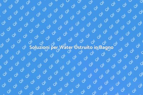 Disostruzione Water: Soluzioni Efficaci