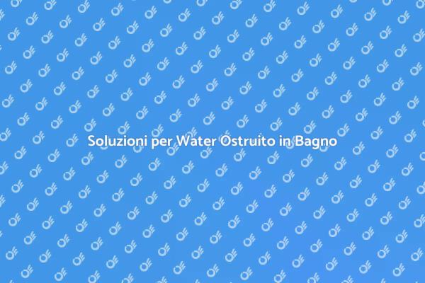 Come Risolvere un Water Ostruito