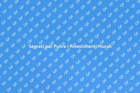 Pulizia Rivestimenti Murali in Casa