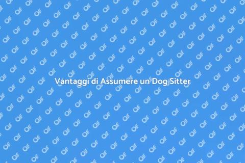 Assumere un Dog Sitter Professionista
