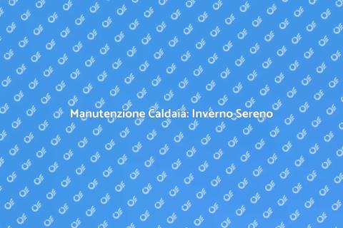 Revisione Caldaia: Comfort Invernale