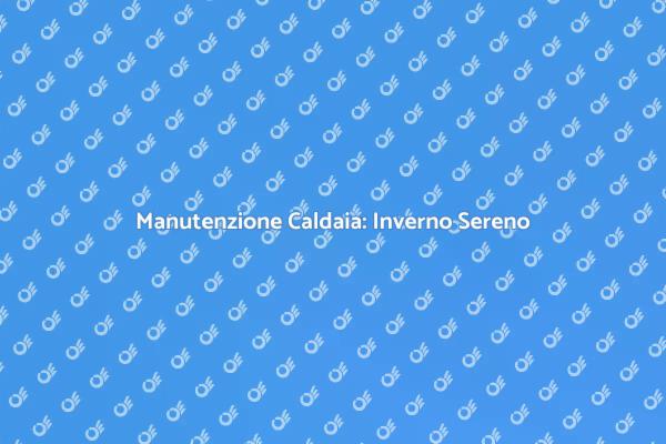 Caldaia: Revisione per Comfort Sicuro