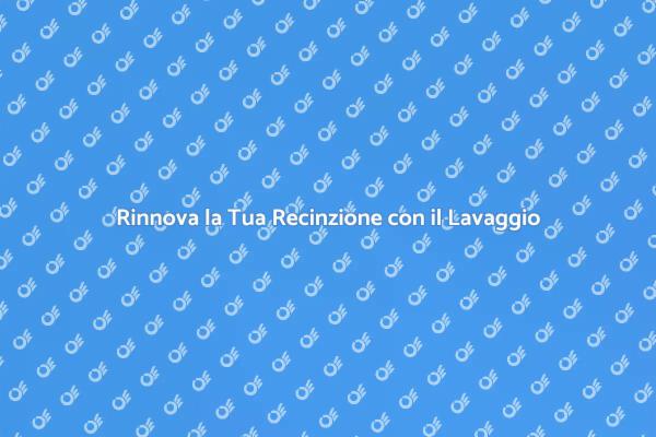 Rinnova la Recinzione con Lavaggio a Pressione