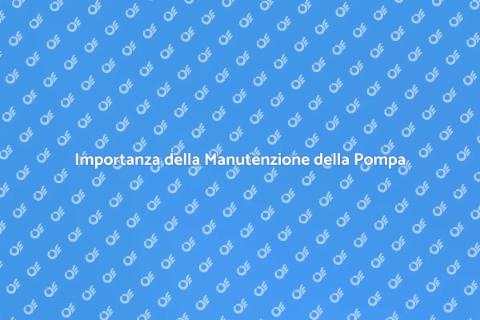 Manutenzione Pompa Raccolta Sotterranea